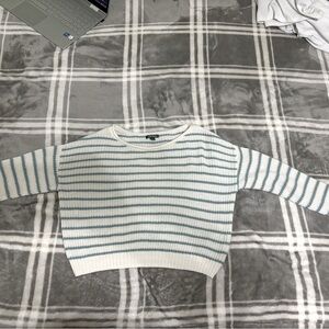 Wild Fable Blue and white stripped sweater